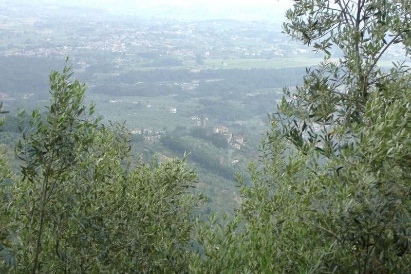 Podere Calistri Larciano Zewnętrze zdjęcie